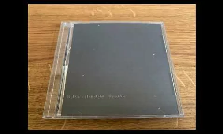 Haruomi Hosono ? N . D . E (1995)