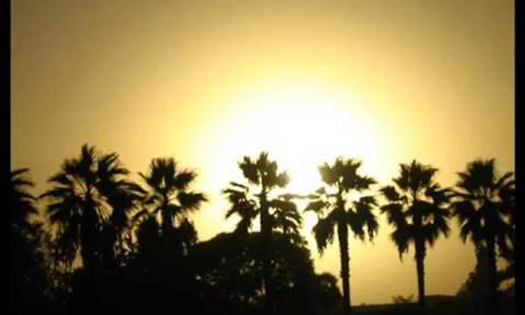 MOTORPSYCHO- GO TO CALIFORNIA