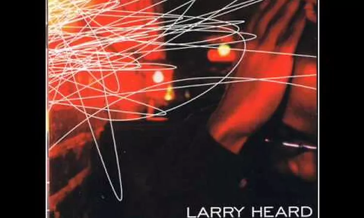 Larry Heard - D?j? Vu
