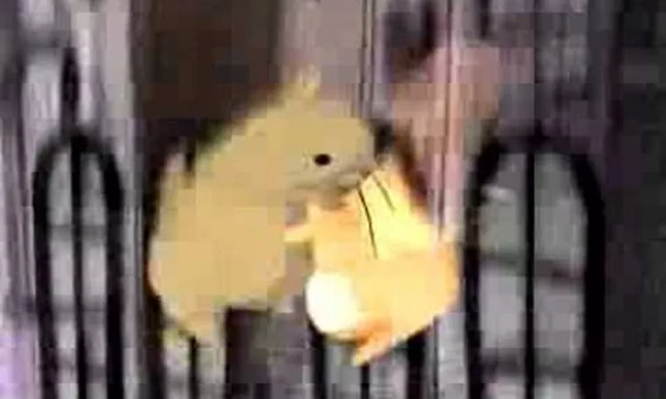 Hunted By A Freak