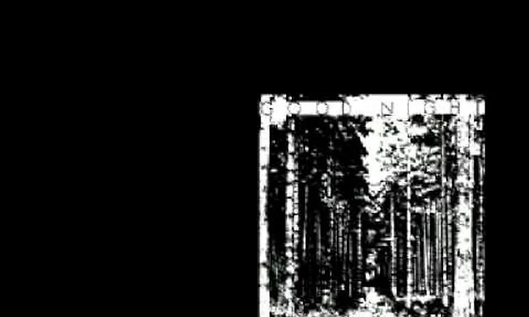 ian elms - surrounded by trees