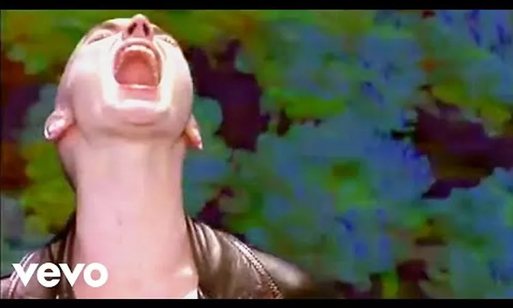 Sin?ad O'Connor - I Want Your Hands On Me (Official Music Video)