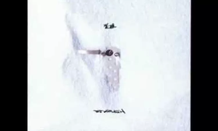 DJ Krush- Parallel Distortion (Featuring DJ Sak)