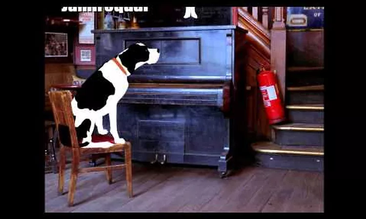 Johnny Hammond - Fantasy (Late Night Tales: Jamiroquai)