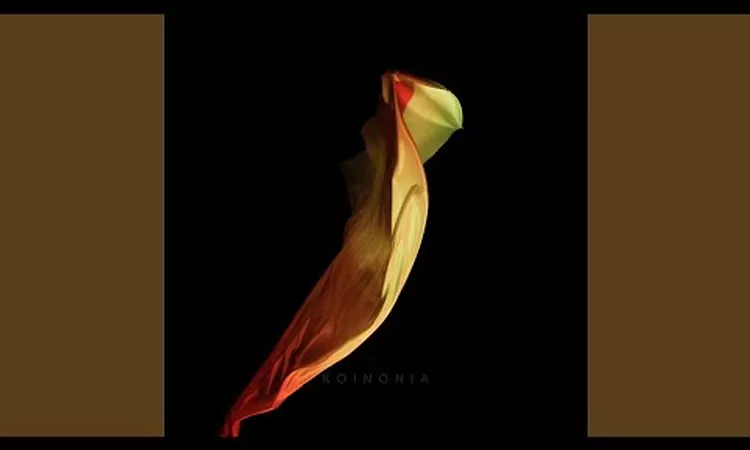 Up High Collective - Koi