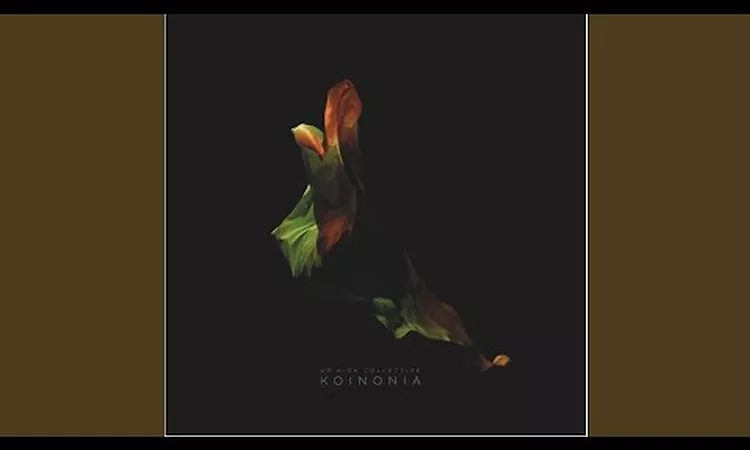 Up High Collective - Arushi