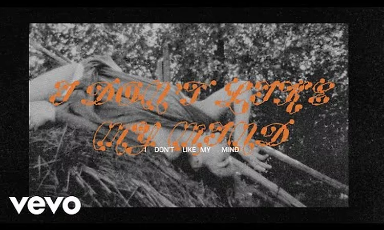 Mitski - I Don't Like My Mind (Official Lyric Video)