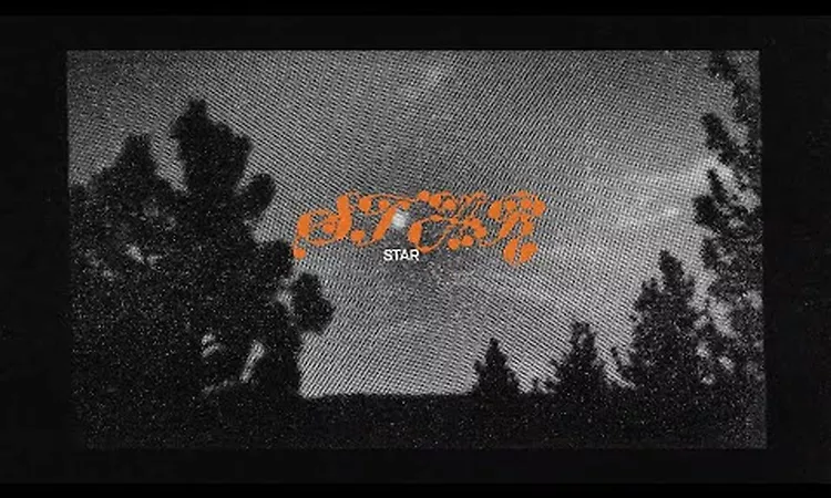 Mitski - Star (Official Lyric Video)