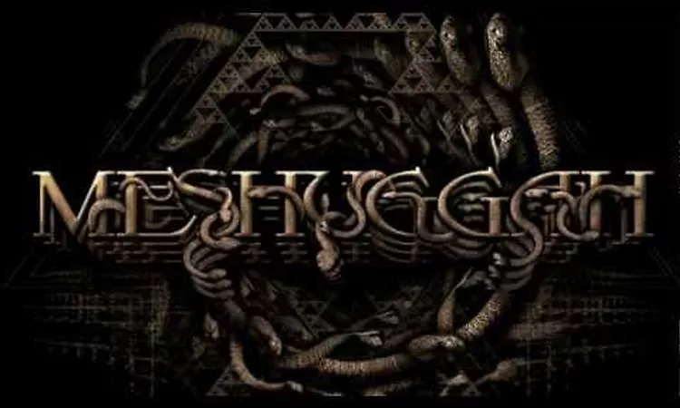 MESHUGGAH - Do Not Look Down (OFFICIAL LYRIC VIDEO)