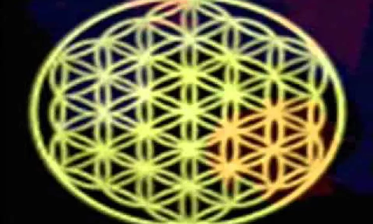FUTURE SOUND OF LONDON  - PRIVATE PSYCHE AND INNER LIFE