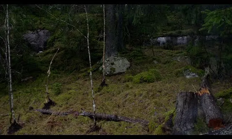 Fever Ray - 'Bottom Of The Ocean' (Official Visualiser)