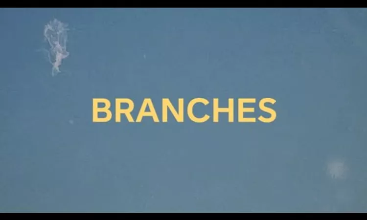 Mooneye - Branches