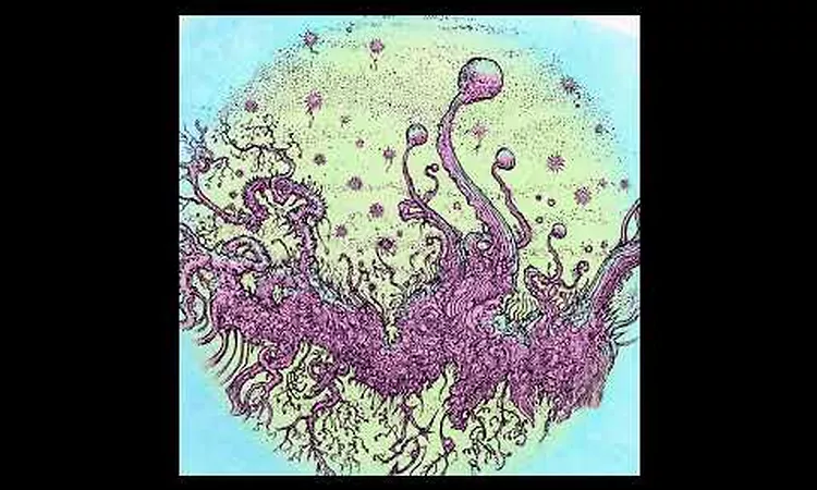 Gesloten Cirkel - I Live in the Midwest