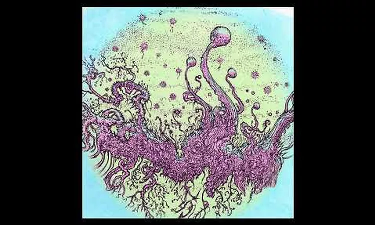 Gesloten Cirkel - Download