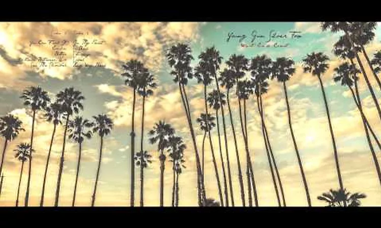 Young Gun Silver Fox - Better