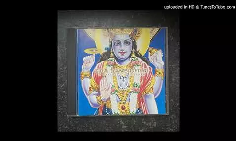 Bass Meditation - Symbiotic (D-Troit Mix)