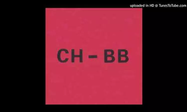 CHBB - Neger Brauchen Keine Elektronik