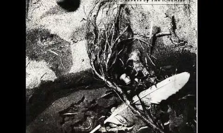 David Sylvian Secrets of the Beehive 
