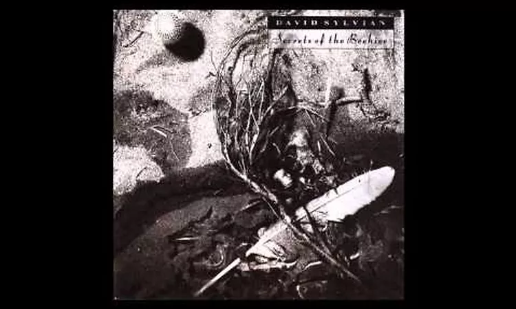 David Sylvian Waterfront