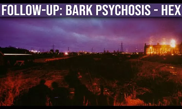 FOLLOW-UP: Bark Psychosis ? Hex