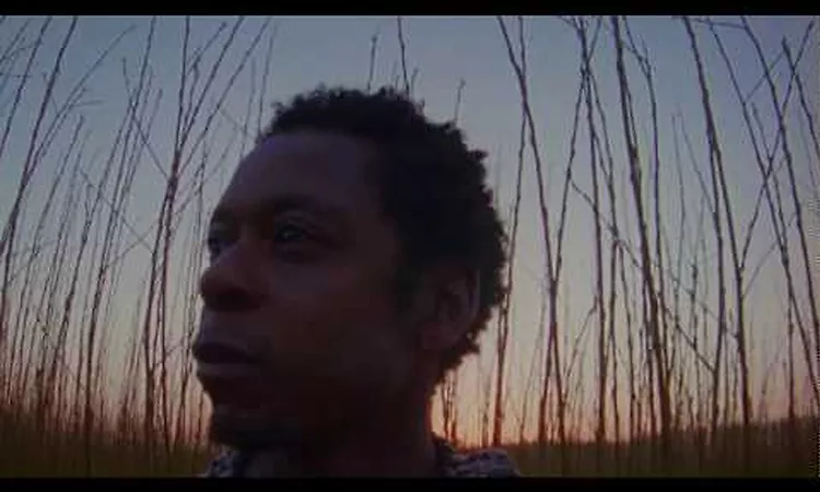 Typhoon met Freez - Alles Is Gezegend (prod. Dries Bijlsma) [LYRIC VIDEO]
