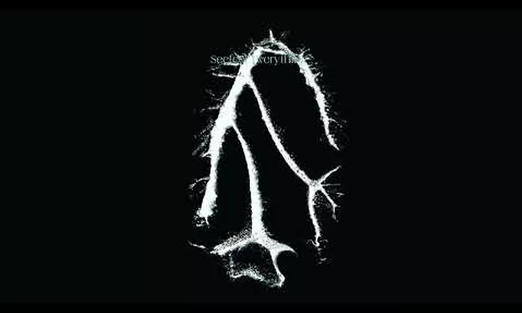Seefeel - Sky Hooks