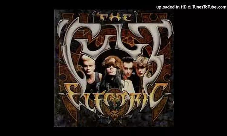 The Cult ? Love Removal Machine (Vinyl)