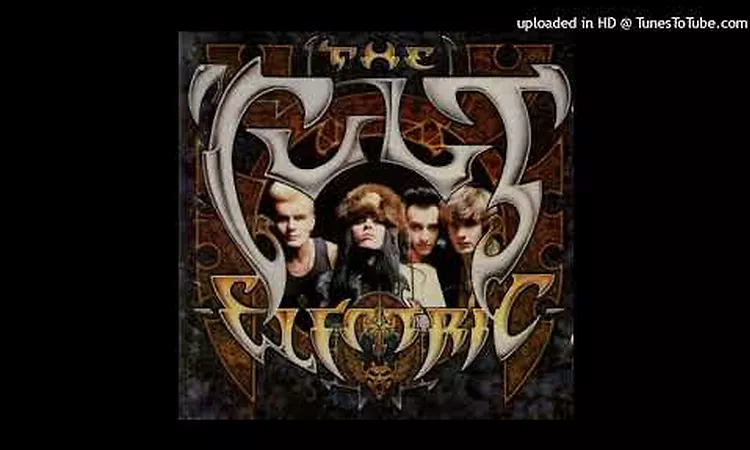 The Cult ? Bad Fun (Vinyl)