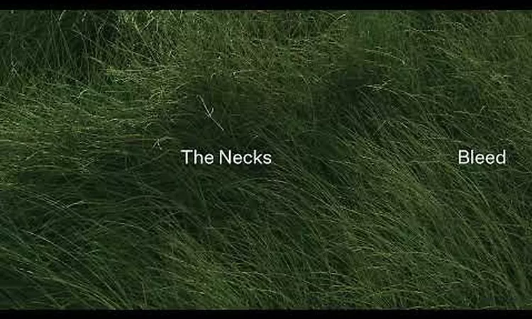 The Necks 'Bleed' excerpt (60 seconds)