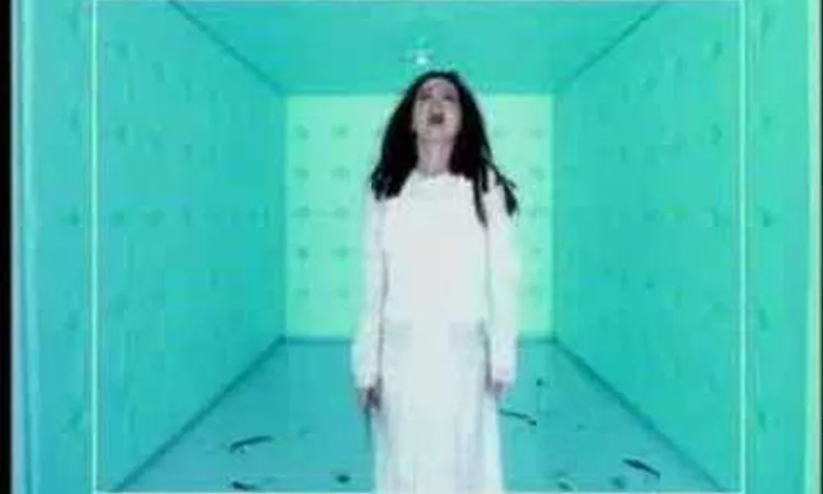 Bjork - Violently Happy