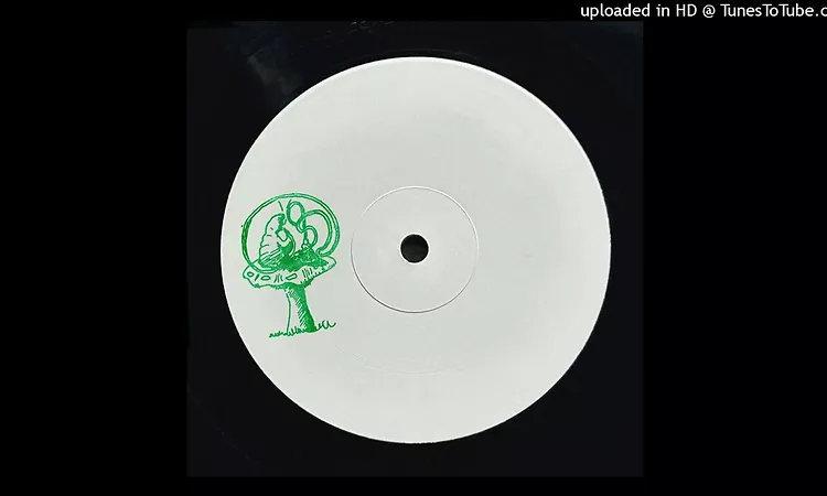 Psychemagik - Everybody's Gotta Learn