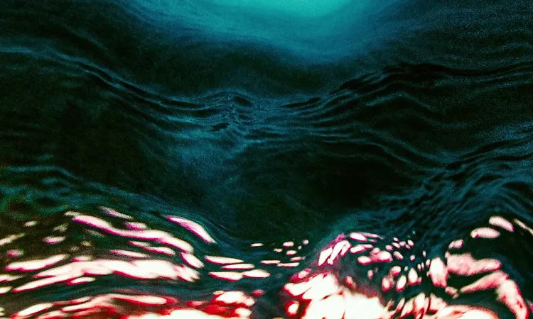 Bonobo - 'Shadows (feat Jordan Rakei)' (Official Audio)