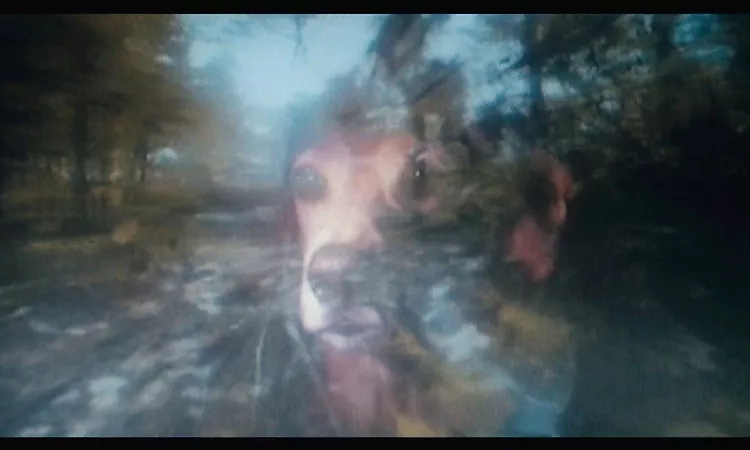 Agnes Obel - Camera's Rolling (Official Video)