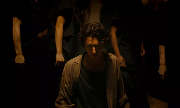 Tamino - You Don't Own Me