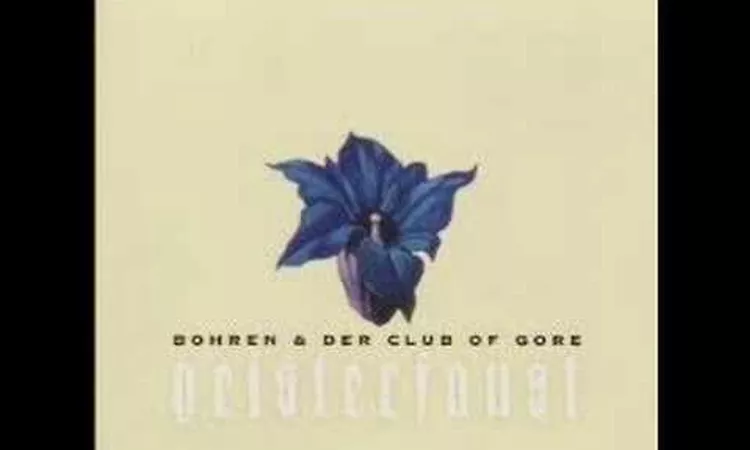 Bohren & Der Club of Gore - Kleiner Finger