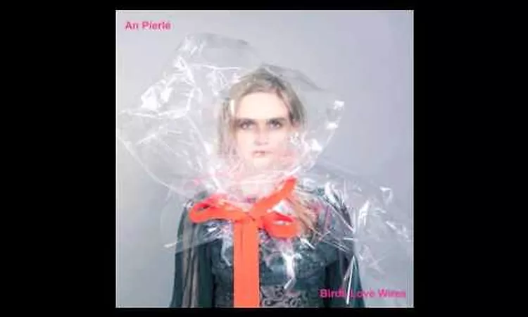 An Pierl?  "Birds Love Wires"  Radio Edit