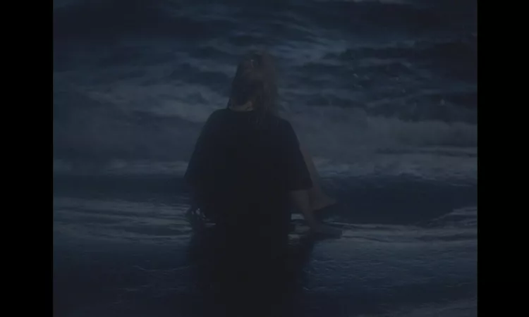 Feist - In Lightning (Official Music Video)