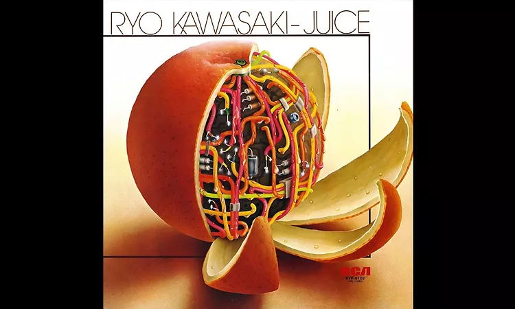 Ryo Kawasaki - Raisins ? 1976