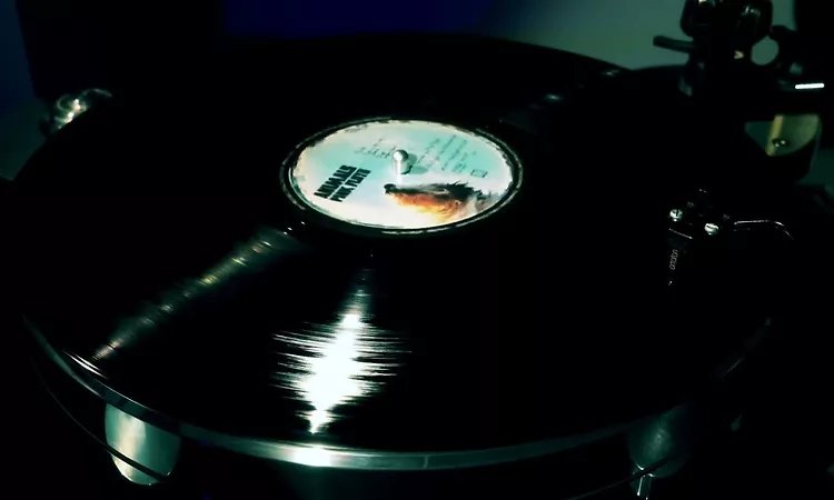 Pink Floyd -1st UK press vinyl - Animals - side 1
