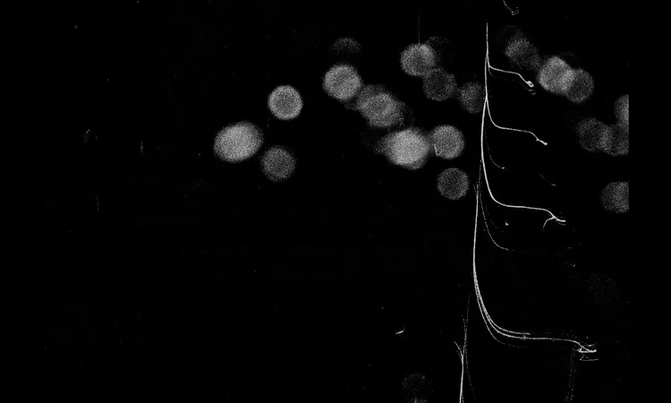 The Smile - Skrting On The Surface