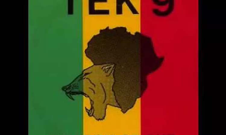 Tek 9 Space 91