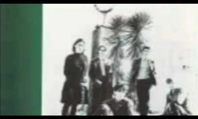 The Triffids - Madeline