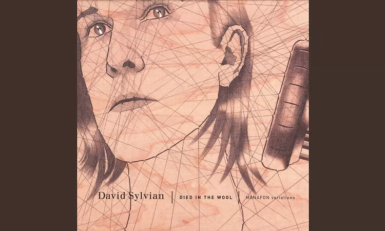 David Sylvian - Died In The Wool