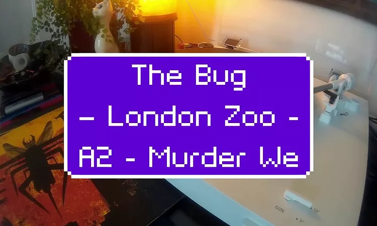 The Bug ? London Zoo - A2 - Murder We Feat. Ricky Ranking
