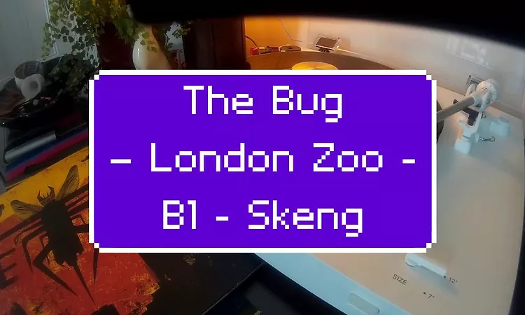 The Bug ? London Zoo - B1 - Skeng Feat. Killa P