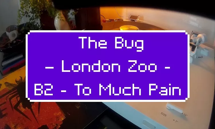 The Bug ?? London Zoo - B2 - To Much Pain Feat. Ricky Ranking