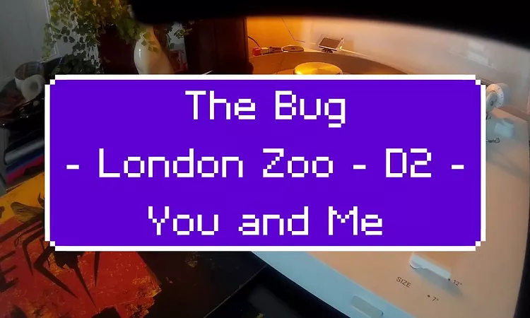 The Bug ?? London Zoo - D2 - You and Me feat. Rodger Robinson