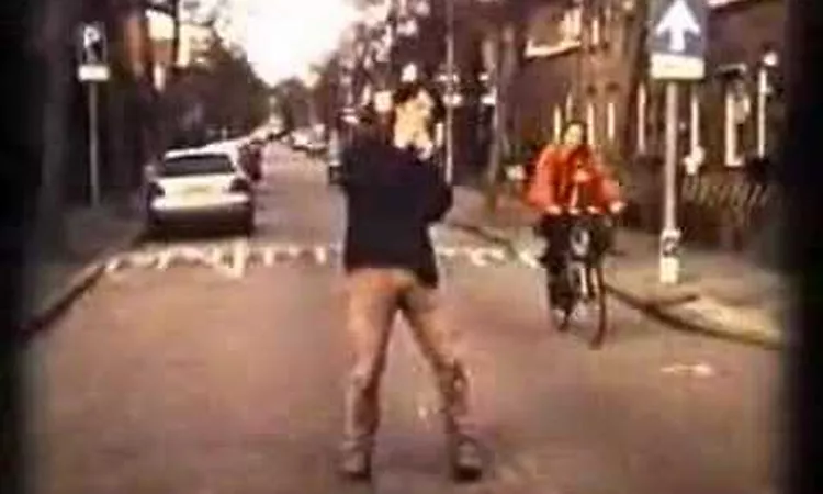 Spinvis - Smalfilm