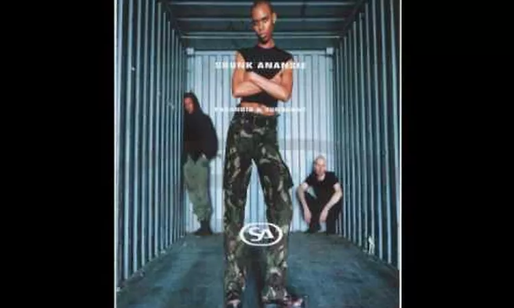 Skunk Anansie - It takes blood and guts to be this cool but i m still just a cliche