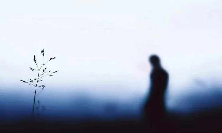 The White Birch - The Hours